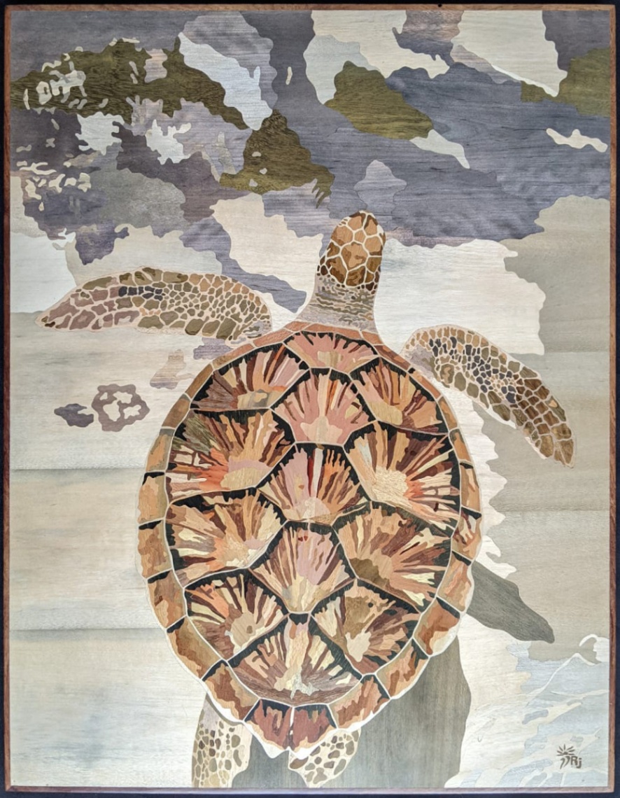 Tortue Élégante